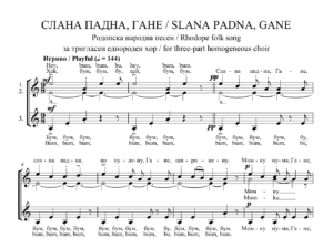 Read more about the article „СЛАНА ПАДНА, ГАНЕ“