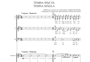 Read more about the article „ТЕМНА МЪГЛА“